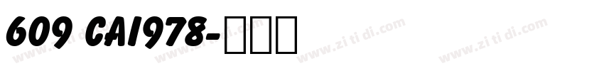 609 CAI978字体转换